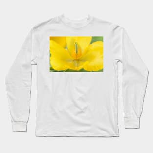 Glaucium flavum  Seaside poppy  Yellow horned poppy Long Sleeve T-Shirt